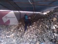 /album/emeis/wp-000239-jpg/